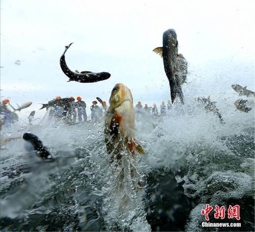 河内1分彩河内1分彩，探索未知的乐趣-第1张图片