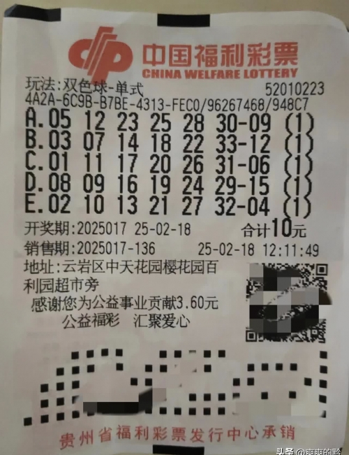 下一期推荐号码机选5注双色球下一期推荐号码机选5注推荐-第1张图片
