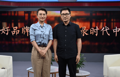 中央电视台董倩，新闻人的典范-第2张图片