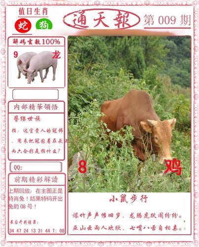2023澳门全年免费资料大放送-第2张图片