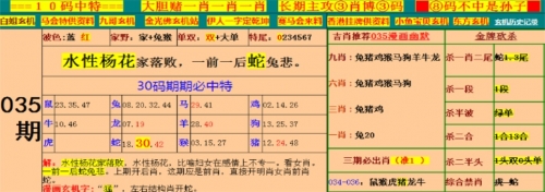 马会开奖结果揭晓-第3张图片