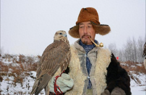 神鹰权威心水论坛神鹰权威心水论坛，探寻权威与心水的交汇之地-第1张图片