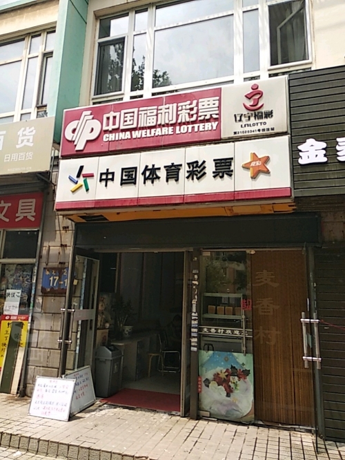 平刷王彩票官网，揭秘彩票投注新途径