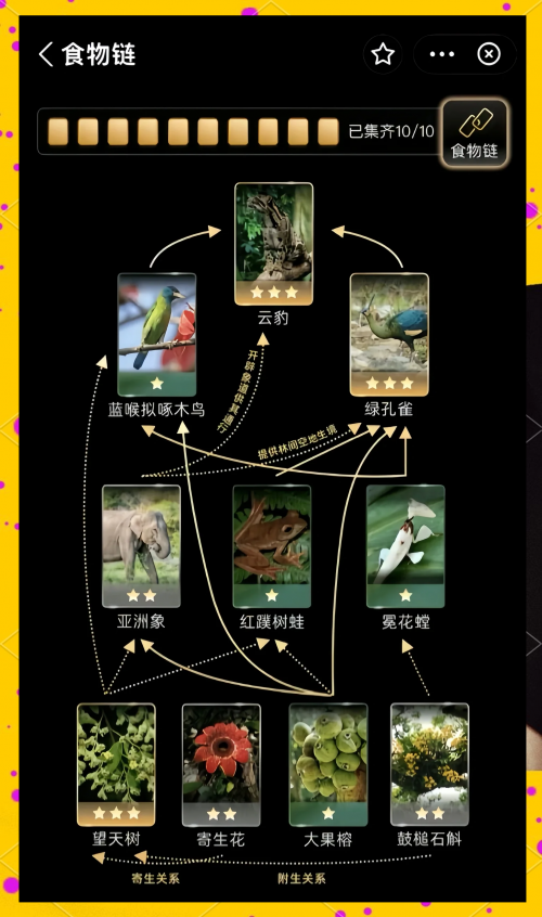 2019四不像2019四不像，探索未知的神奇生物-第1张图片