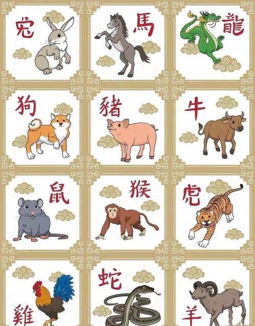 群龙无首是什么生肖?群龙无首是什么生肖？