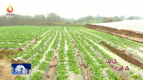 四川达州做什么赚钱四川达州做什么赚钱？