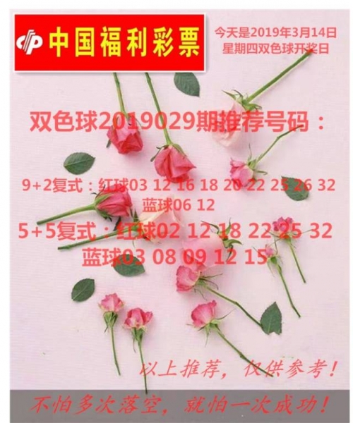 2019香港开奖记录及开奖结果回顾-第3张图片