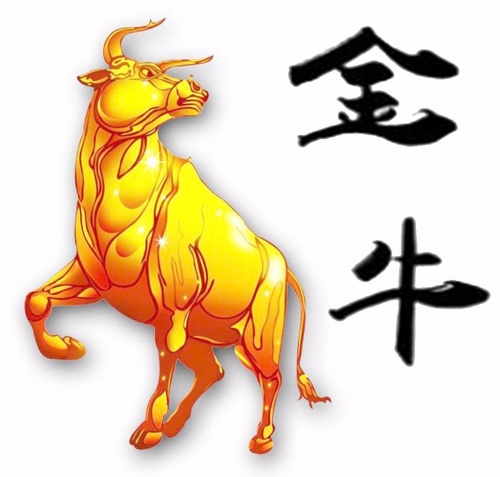 金牛网心水评论金牛论心水
