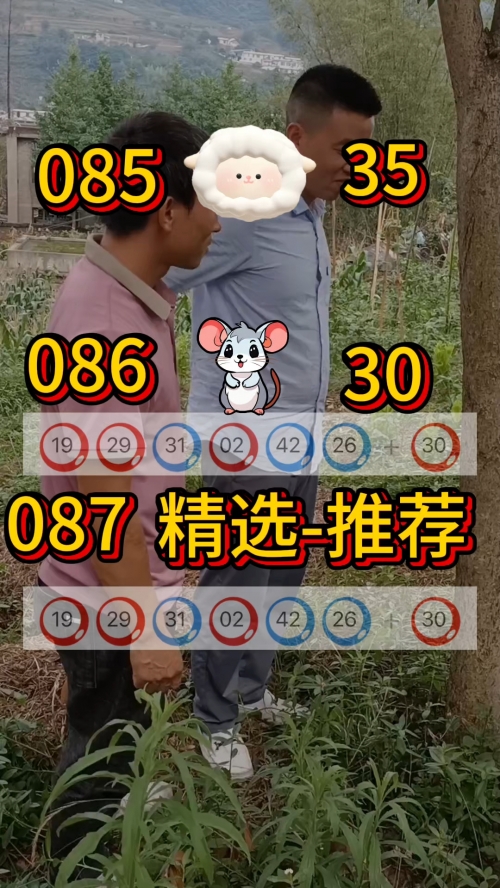 新澳开奖结果资料查询29期79456新澳开奖结果资料查询29期