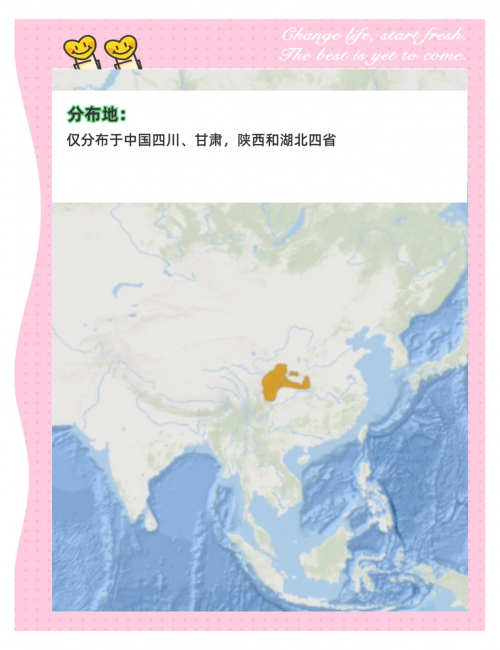 探索881882.com的神秘世界