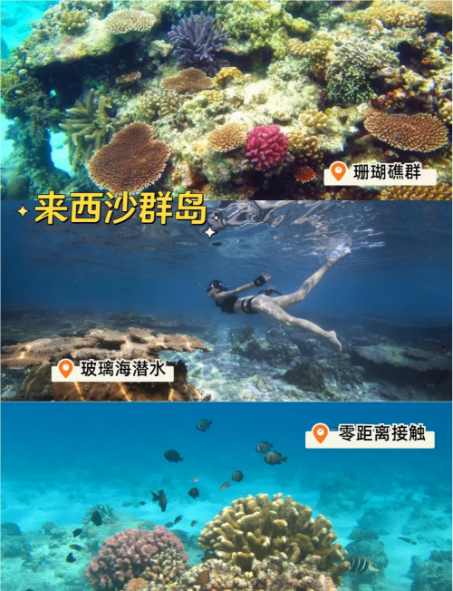 到西沙群岛旅游攻略西沙群岛旅游攻略-第2张图片