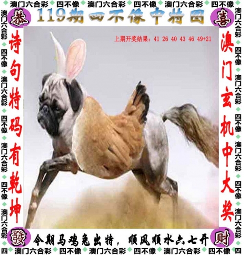 澳门四不像论坛的用户评价澳门四不像论坛，探索多元文化与交流平台-第2张图片