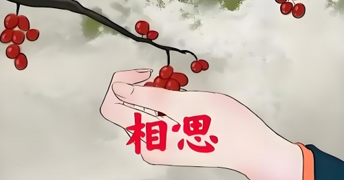 孤男寡女请关灯