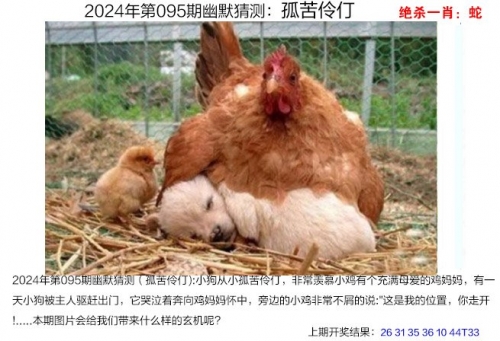 新澳2024管家婆资料第三期