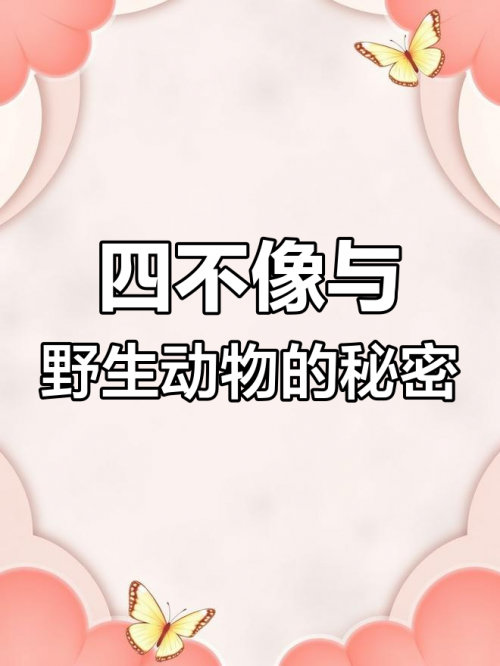 探索神秘的363838四不像-第2张图片