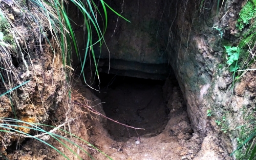 盗墓风水师小说盗墓风水师，探寻神秘古墓的神秘力量-第3张图片