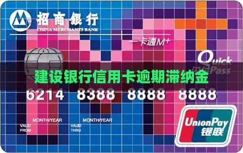 信用卡取消滞纳金，轻松解决烦恼