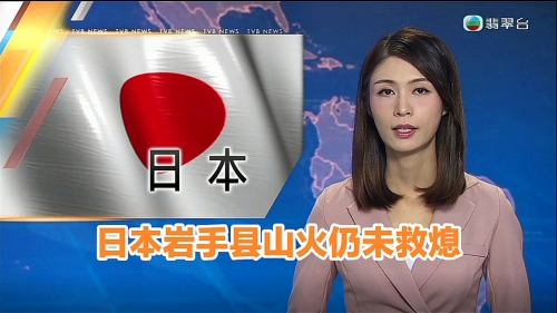 本港台新闻概览-第2张图片