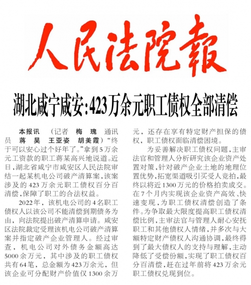 新澳正版资料与内部资料新澳正版资料与内部资料概述