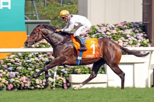 香港2021年马会资料2019香港马会全年资枓大全-第2张图片