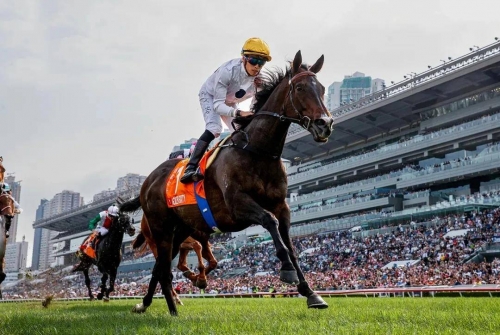 香港2021年马会资料2019香港马会全年资枓大全-第1张图片