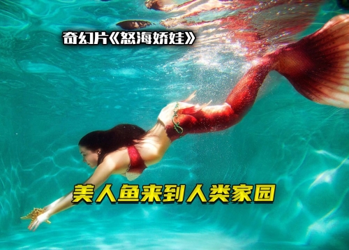 138383美人鱼论坛美人鱼探索138383美人鱼论坛，美人鱼的奇幻世界-第1张图片