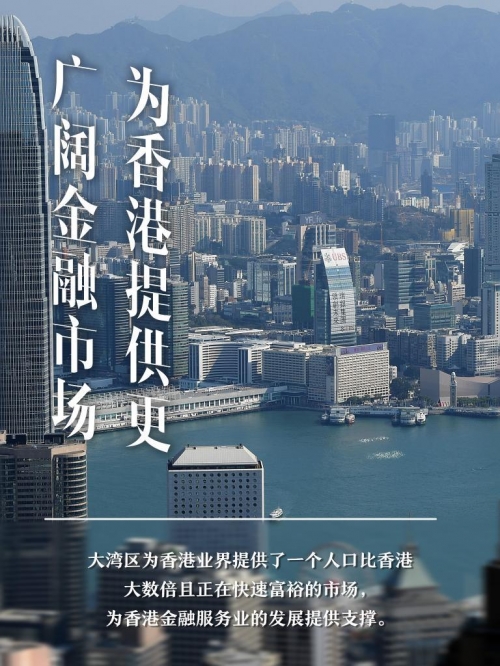 2023澳门精准正版澳门码，探索澳门码的魅力与机遇