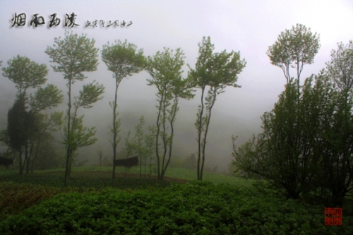 金刚山金刚山之旅