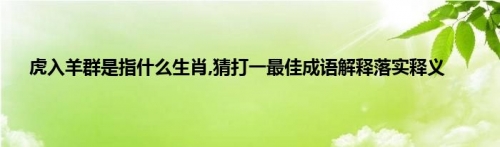 三流九教江湖客打一最佳生肖2024三流九教江湖客打一最佳生肖-第2张图片