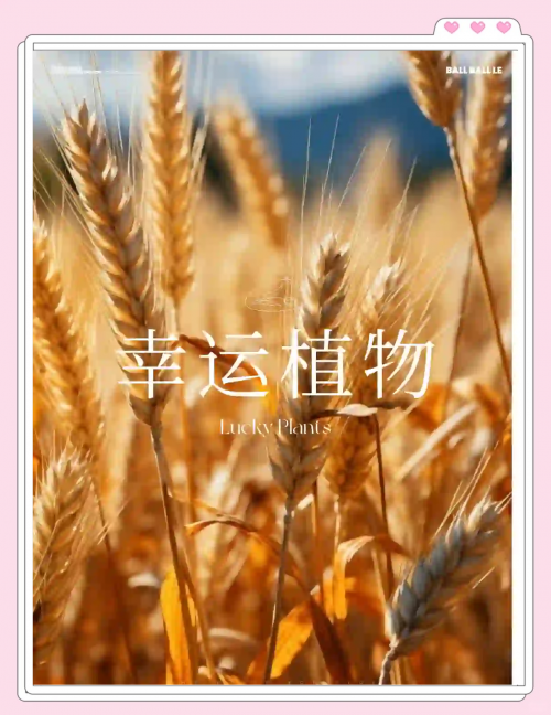 4887香港最快开奖结果揭晓，揭秘幸运时刻