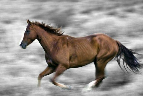 香港开奖马会开结果记录1一香范香港会马118开奖结果揭晓-第3张图片