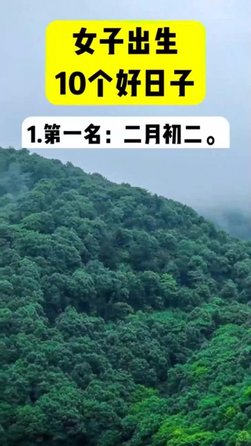 好日子心水网好日子心水论坛，探寻美好时光的秘密