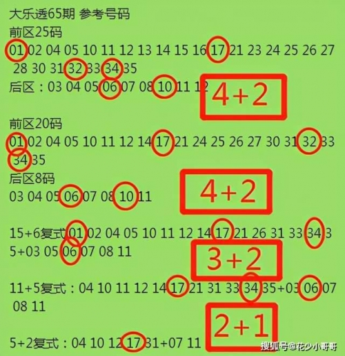 2码出特2码出特，精准预测与策略-第1张图片