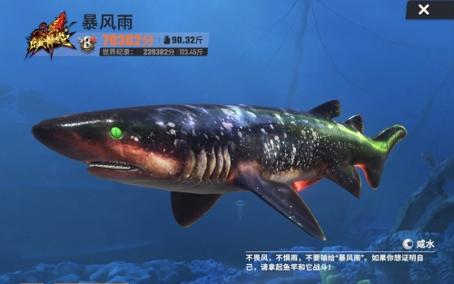 万能鲨鱼，海洋之霸