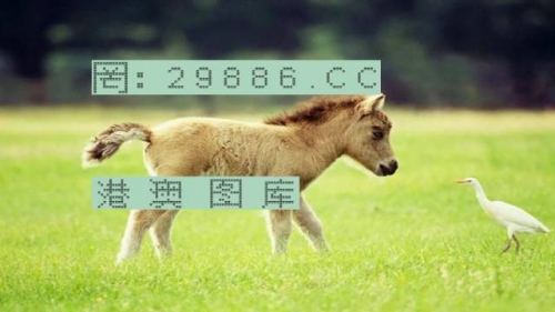 澳门跑狗376969资料澳门跑狗376969资料-第1张图片