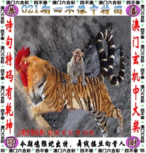 2024新奥开奖记录39期回顾