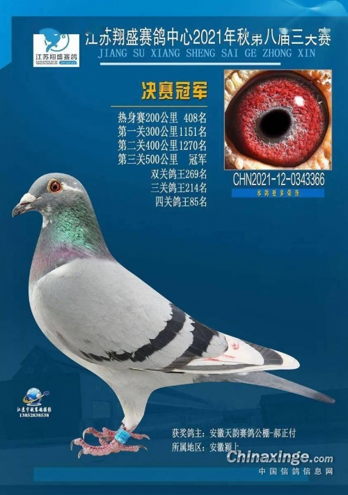 江苏11选五走势结果图-第2张图片