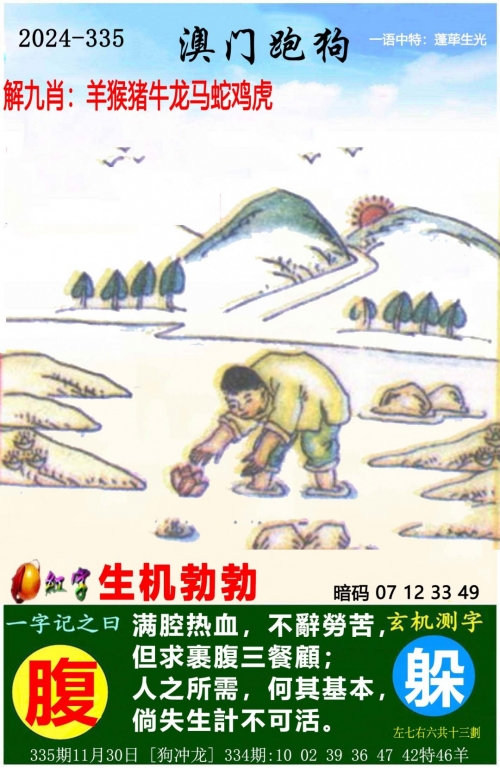 澳门一肖一码必中一肖，彩票预测与幸运启示-第2张图片