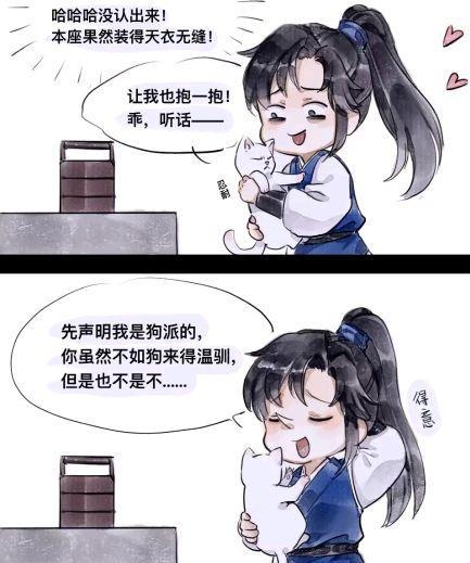 白猫图纸白猫图纸，探索设计与创新的奥秘-第1张图片