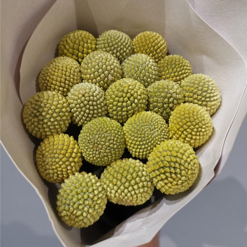 黄金球的寓意和象征黄金球，璀璨之球，价值非凡