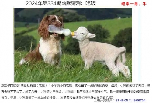 管家婆期期四肖四码中特管家，神秘预测与精准服务