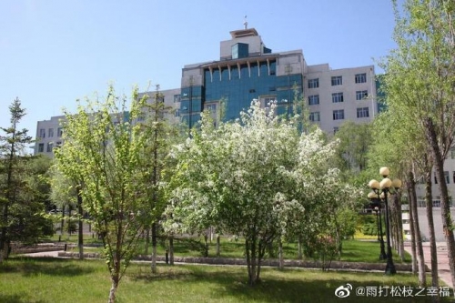 龙江在线官网龙江在线，龙江新时代的新闻窗口