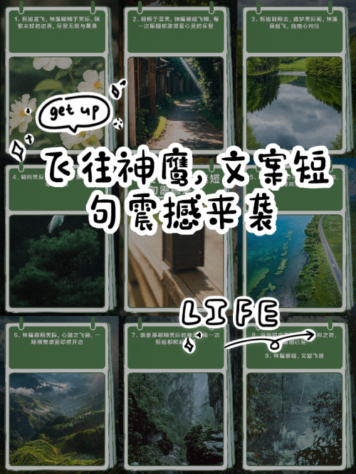 神鹰论坛神鹰论坛，探索网络交流的新天地-第3张图片