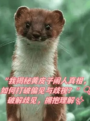 黄大仙精选资料一肖一码com黄大仙精选，肖码的神秘与智慧-第1张图片