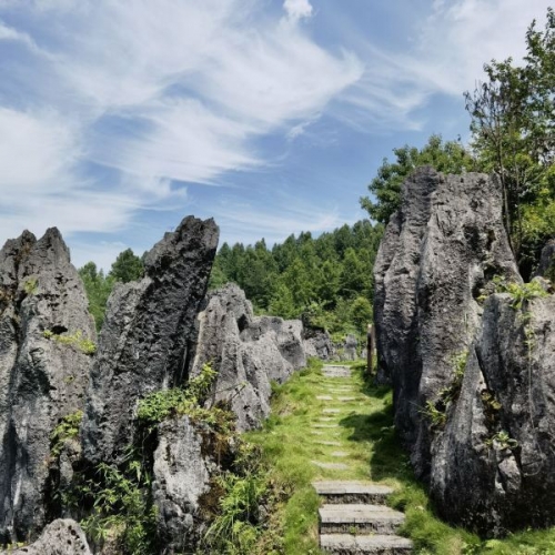石林是几A级景区石林景区，五星级旅游景区