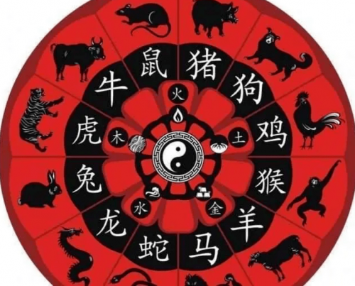 2023年12生肖49码图2023年生肖49码图-第1张图片