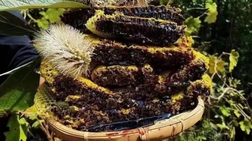 云南茶叶普洱茶有什功效云南茶叶——普洱茶