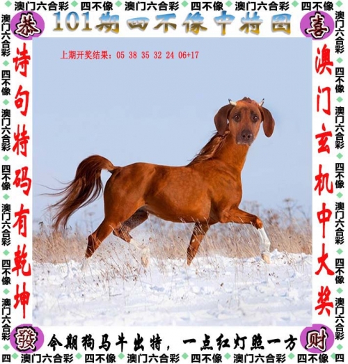 澳门资料大全+正版资料202024新澳门资料最精准免费大全-第2张图片
