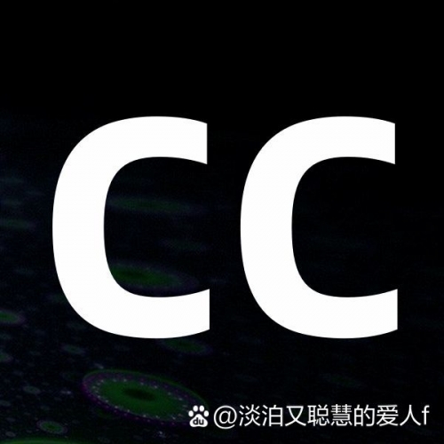 彩之网互动区彩之网互动区，探索网络交流的新天地-第2张图片