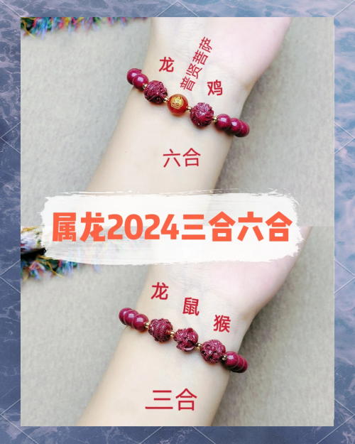 香港正版2023年生肖号码表图香港正版2023年生肖号码表图-第2张图片
